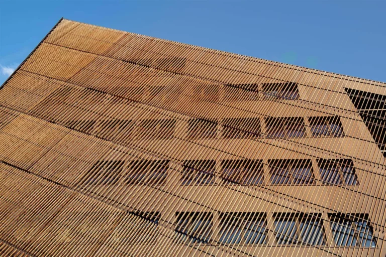 Concrete Wood The Durable Timber Aesthetic Revolution in Modern Construction